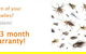 Total Pest Management Townsville - thumb 1