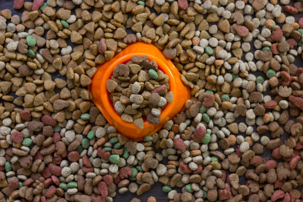 Cafes Coffee Shops Rathmines NSW Bet 4u