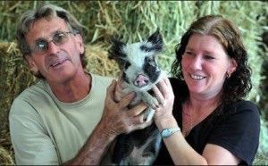 Noosa Rural Produce - Click Find 1