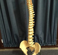 Active Physiotherapy Solutions - Click Find