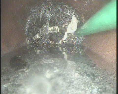 DRAINS KLEEN - Click Find 4