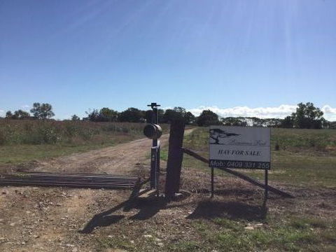 Poinciana Park Fodder Production - Bridge Guide 0