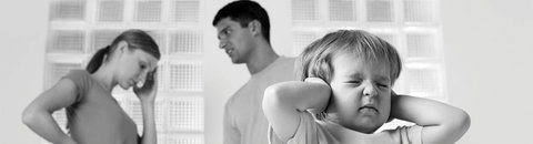 East Coast Family Lawyers - Click Find 0