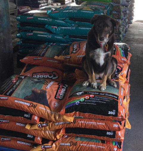 Hi-Way Produce & Rural Supplies - Bridge Guide 4