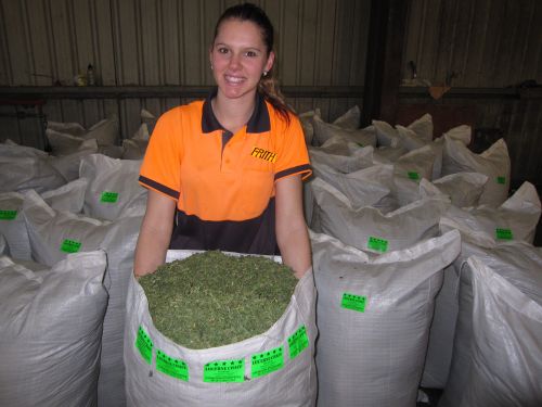 Stock Feed Supplements Fairy Bower QLD Who Is Search