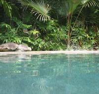 Daintree Rainforest Retreat - Bet 4u