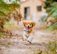 Countrywide Cottages - Click Find