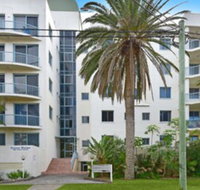 Ocean Palms - Click Find