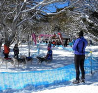 Cloud 9 Alpine Lodge - Click Find