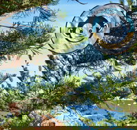 Mad Monkey Coogee Beach Hostel - Bet 4u