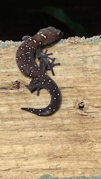 Cootharaba QLD Click Find