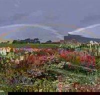 Boat Harbour Garden Cottages - Click Find