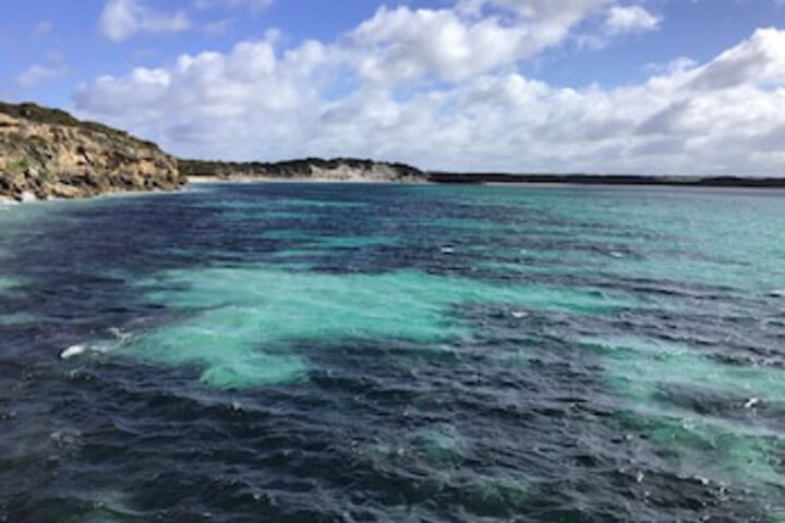 Vivonne Bay SA Click Find