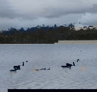 Lake Yalleena Nature Retreat - Click Find
