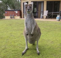 Yelverton Brook Conservation Sanctuary - Click Find