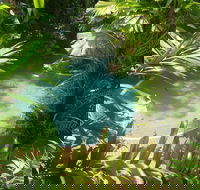 Palm Cove Tropic Apartments - Click Find