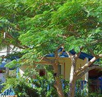 Amber Gardens Guesthouse - Bet 4u