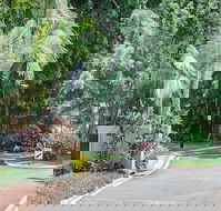 Oasis at Palm Cove - Click Find