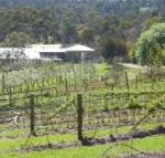 Eureka Farm - Click Find