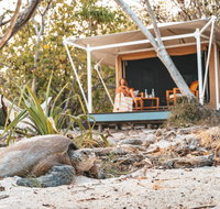 Wilson Island - Click Find