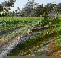 Renovated Cottage Aberdare Hunter Valley - Lawyer Find