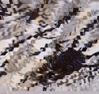 Discover Classic Rocks - Click Find