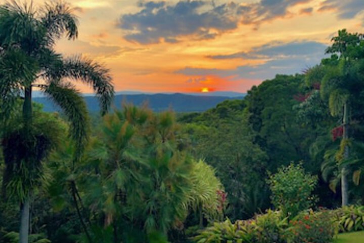 Forest Creek QLD Bet 4u