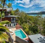 Kingfisher on Hamilton Island - DBD