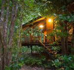 Wildwood - Click Find