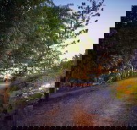 Dayboro Cottages  Llama Walks - Bet 4u