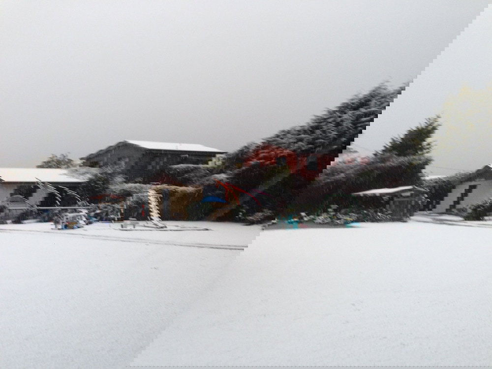 Promised Land TAS Bet 4u