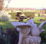 Springbank Bed  Breakfast