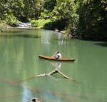 Figtree Getaway - Click Find