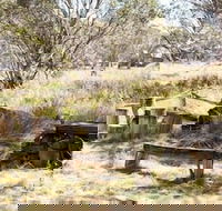 Wrens View - Click Find