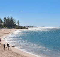 Norfolks on Moffat Beach - Click Find