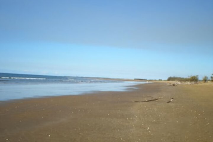 Moore Park Beach QLD Bet 4u