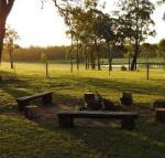 Wallaby Cottage cute Accom in bushland setting - Lawyer Find