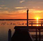 Bayview Boathouse - Click Find