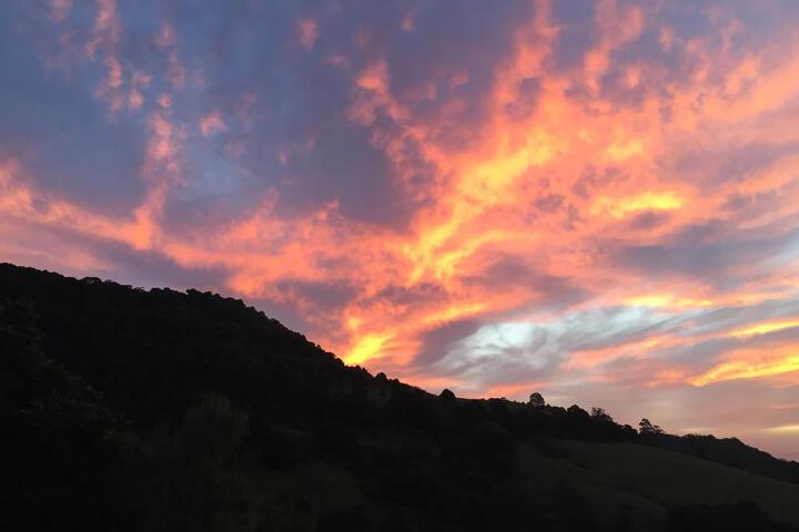 Wattamolla NSW Click Find