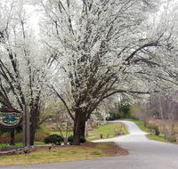 Forrest Hills Mountain Resort and Conference Center