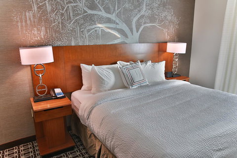 Fairfield Inn & Suites By Marriott Savannah Midtown - Click Find 26