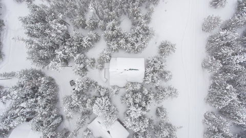 Hidden Pines - Click Find 32