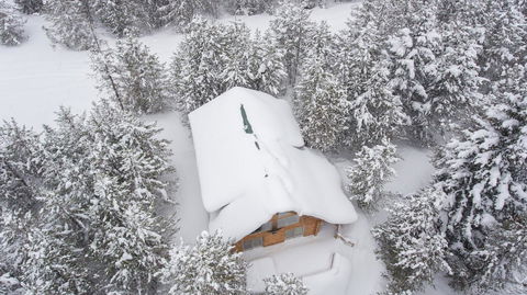 Hidden Pines - Click Find 22