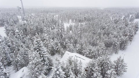 Hidden Pines - Click Find 33