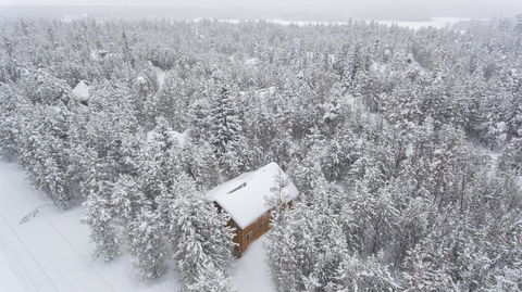 Hidden Pines - Click Find 31