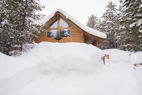 Hidden Pines - Click Find 20