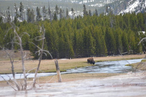 My Yellowstone Retreat - Click Find 23