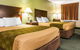 Econo Lodge Vincennes - thumb 6