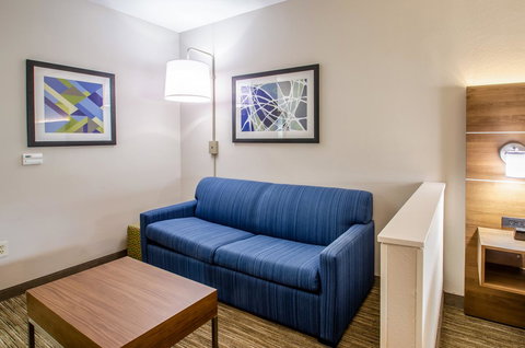 Holiday Inn Express & Suites - Olathe South - Bet 4u 11