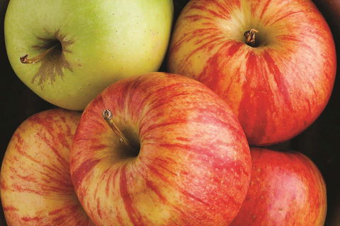 La Quinta By Wyndham Paducah - Bridge Guide 21